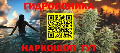 круглые Лесосибирск