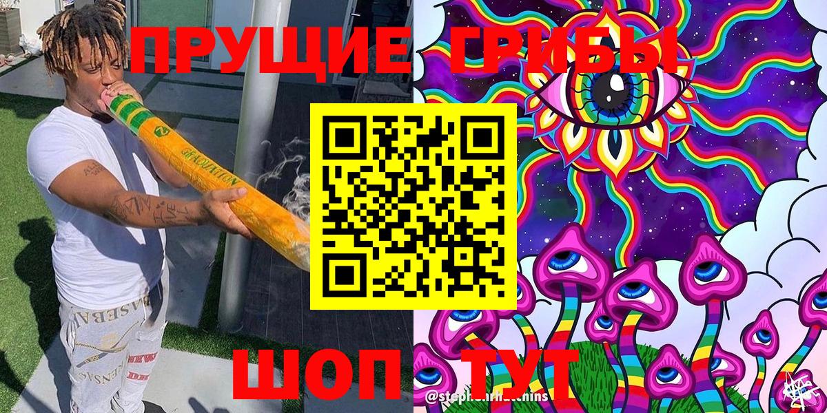 Псилоцибиновые грибы Psilocybine cubensis Кемерово